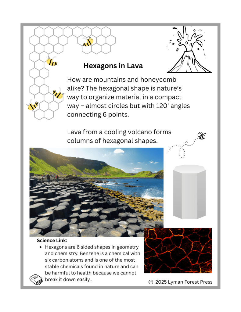 An educational graphic titled 'Hexagons in Lava' explaining how hexagonal shapes, seen in lava formations and honeycomb, are a natural way to organize materials. It includes images of a cooling volcanic landscape with hexagonal columns, a honeycomb pattern, and a diagram showing the structure of hexagons.