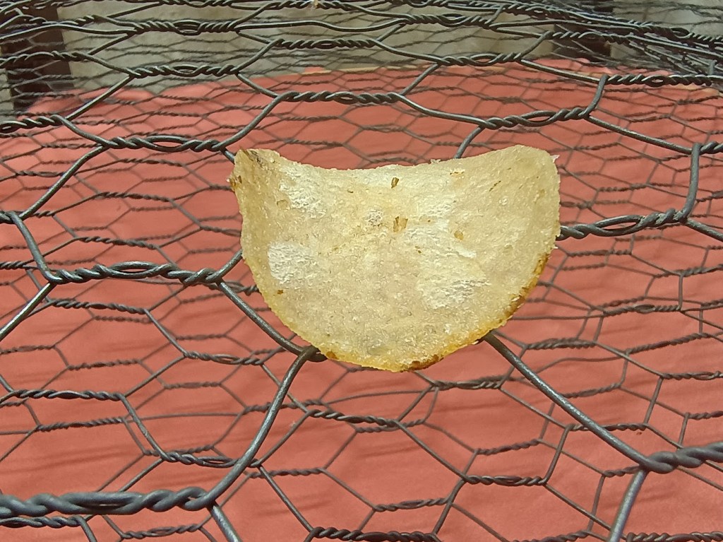 A potato chip resembling a hyperparabolic shape resting on a chicken wire fence.
