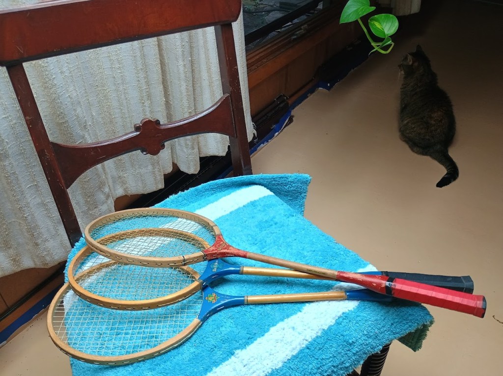 A wooden chair beside a blue towel holding three badminton rackets, with a cat sitting in the background, looking out a window.