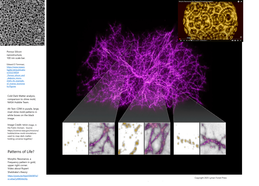 Cold Dark Matter tracery, sound frequency pattern in sand, diatom porous silicon, and slime mold tracery-- all similar patterns.